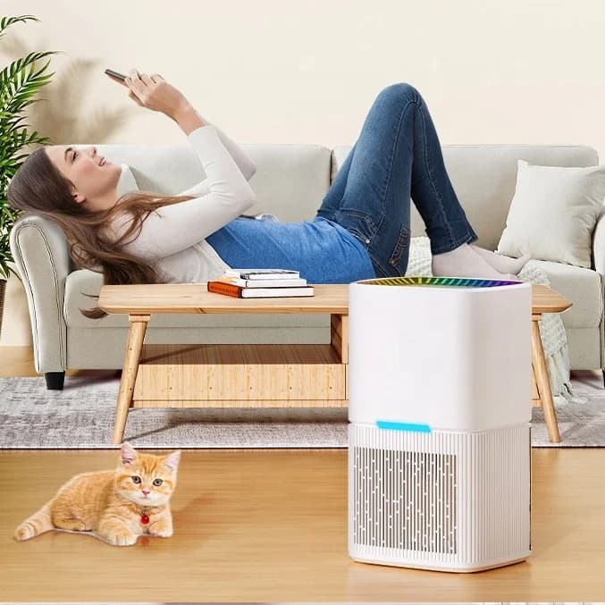 多機能タッチコントロールパネル付きコンパクト電動除湿器 取り外し可能な水タンク お手入れ簡単 理想的