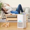 多機能タッチコントロールパネル付きコンパクト電動除湿器 取り外し可能な水タンク お手入れ簡単 理想的